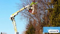 Best Tree Pruning Services in Calgary