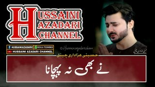 Qayam Sughra Ka | Ali Hamza | New Noha Status 2019 | Nohay 2019 | Hussaini Azadari Channel