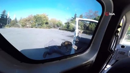 İstanbul Emniyeti'nin özel köpeklerinin zorlu eğitimi görüntülendi