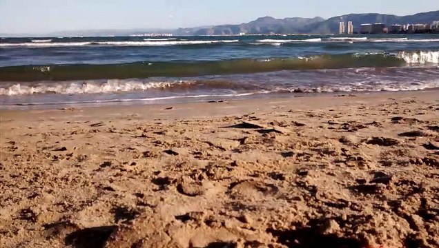 Sonido olas del mar. Sonido de playa. Sonidos del mar.