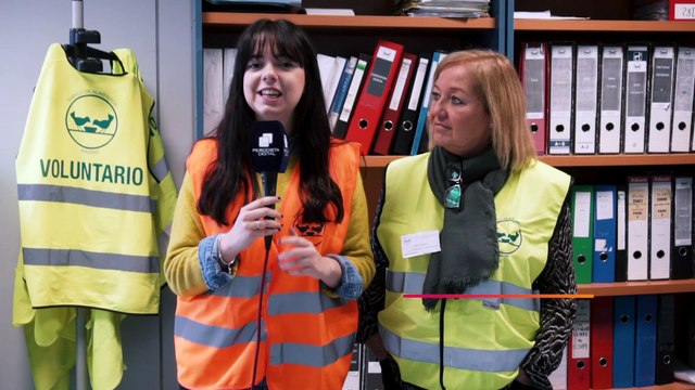 El Banco de Alimentos: un 'ejército' de voluntarios españoles para atender las necesidades de quienes lo necesitan, entre ellos muchos venezolanos