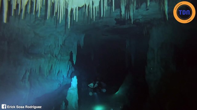 Des scientifiques découvrent des dents de mégalodon vieilles de 2,5 millions d’années