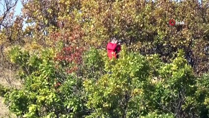 Fotoğraf sanatçıları renk cümbüşünü görüntüledi