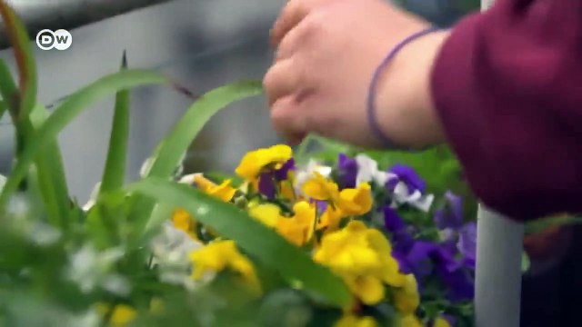 Our Genes decide (Science and Genes documentary)