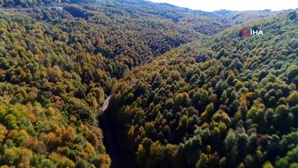 Uludağ Sonbahar Renkleriyle Rengarenk