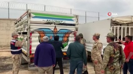 Hayvanları almak için geldiler, 90 tane küçükbaş hayvanı alıp kaçtılar