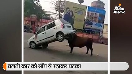 सांड को आया गुस्सा, सींग से उठाकर कार को पटका