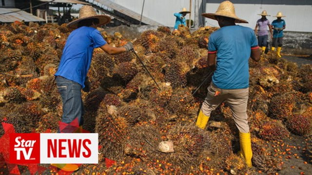 Dr Wee wants to know what is being done to protect oil palm smallholders in M'sia