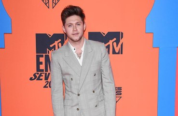 Niall Horan slid into Lewis Capaldi's DMs