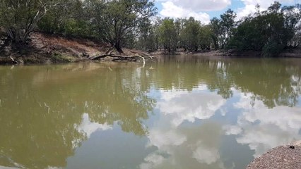 Darling River Flows over Bourke Weir