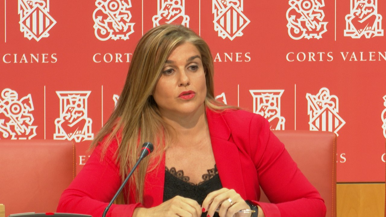 PPCV ve posible fraude en subvenciones a empresas del hermano de Puig