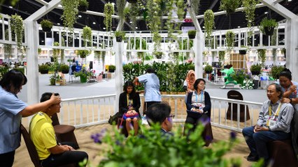 Thai massages at 35th ASEAN summit