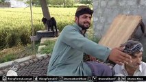 Hindko Khatma Da Kodo - Pashto Very Funny Video Clip - Hindko Ow Pashto