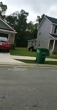 Affamé, cet ours emporte une poubelle entière dans les bois