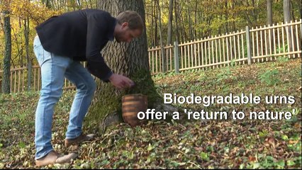 Vienna cemetery offers a 'return to nature'