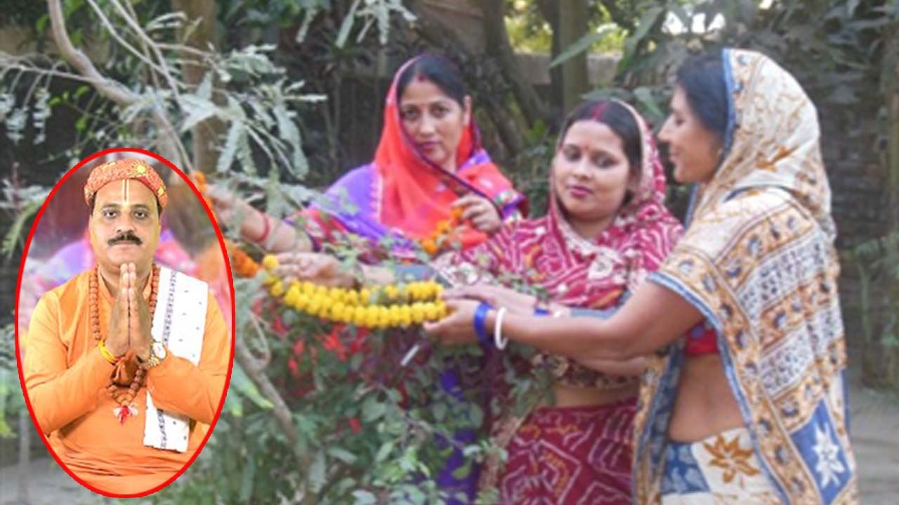 आंवला नवमी 2019 | आंवला नवमी पर जरूर रखें इन बातों का ध्यान | Akshay Navami 2019 | Boldsky