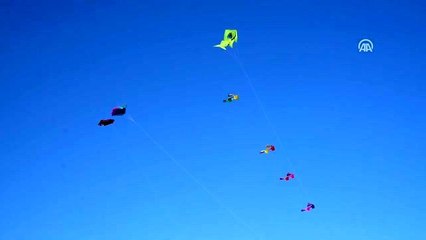 Tavşanlı'da Kızılay Haftası etkinliği