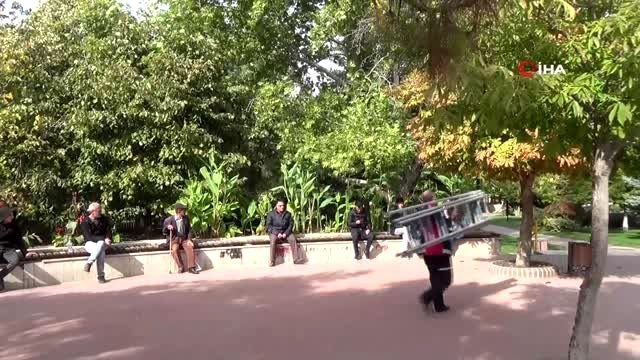 Ağaçta mahsur kalan kediyi itfaiye ekipleri kurtardı