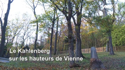 Autriche : un cimetière de Vienne dédié aux enterrements naturels