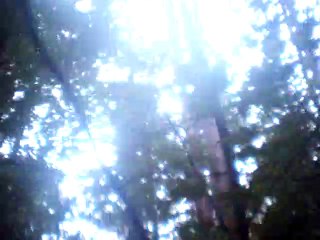 when tender maid vocals only