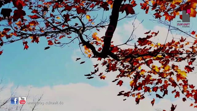 Wir sollten uns bewusst sein, dass die gelebte Wirklichkeit kein Traum ist. Träumen können wir von der Zukunft! - WBG Zukunft eG - Karrideo Image- und Eventfilmproduktion©®™