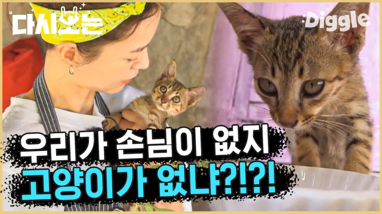 [#윤식당1] 집사뽐뿌 ♥ 우유를 내놓지 않는다면 손님을 불러오지 않겠다 | #다시보는윤식당 | #Diggle