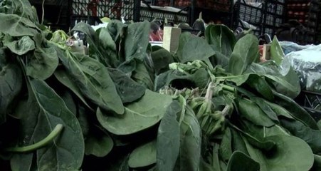 İstanbul İl Sağlık Müdürlüğü'nden ıspanak zehirlenmelerine ilişkin açıklama: 108 kişi hastanelere başvurdu