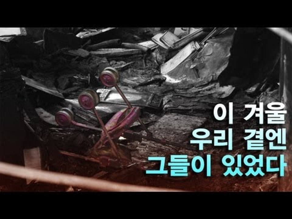 NocutView - 이 겨울, 우리 곁엔 그들이 있었다