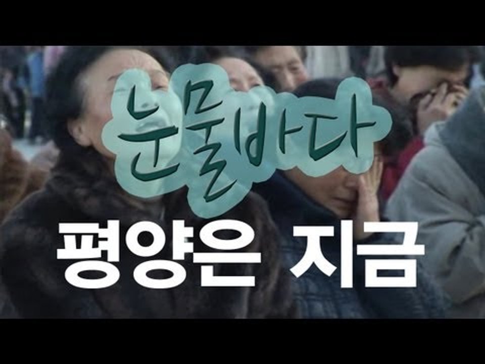 NocutView - 평양은 지금 '눈물 바다'
