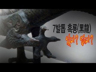 Keystory - 7발톱 흑룡 있다? 없다?