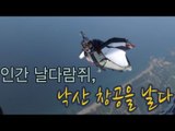 NocutView - 인간 날다람쥐, 낙산 창공을 날다