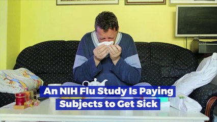 An NIH Flu Study Is Paying Subjects to Get Sick
