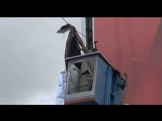 Penertiban Alat Peraga Kampanye di Yogyakarta Dikawal Ketat Petugas Bersenjata