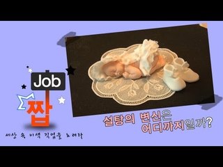 NocutView - [이색Job]설탕의 변신은 어디까지일까?