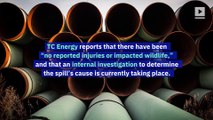 Keystone Pipeline Leaks Over 300,000 Gallons of Oil