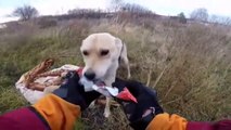 Rider Rescues Precious Puppy in Russia