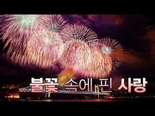 NocutView - 불꽃 속에 핀 사랑