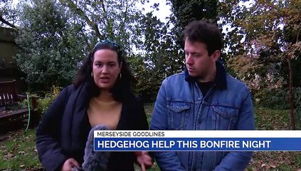 GOODLINES: 5th November 2019