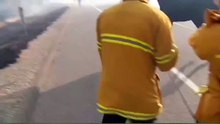 Cavalo volta atrás para salvar a sua família dos incêndios