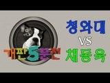 [개판오분전] 제3화 '청와대'와 '채동욱'의 진실게임
