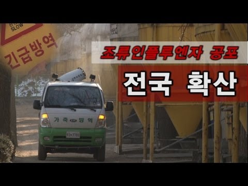 [NocutView] 조류인플렌자 공포 전국 확산