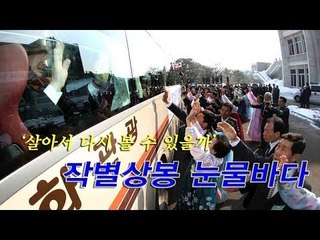 [NocutView] '살아서 다시 볼 수 있을까'..작별상봉 눈물바다