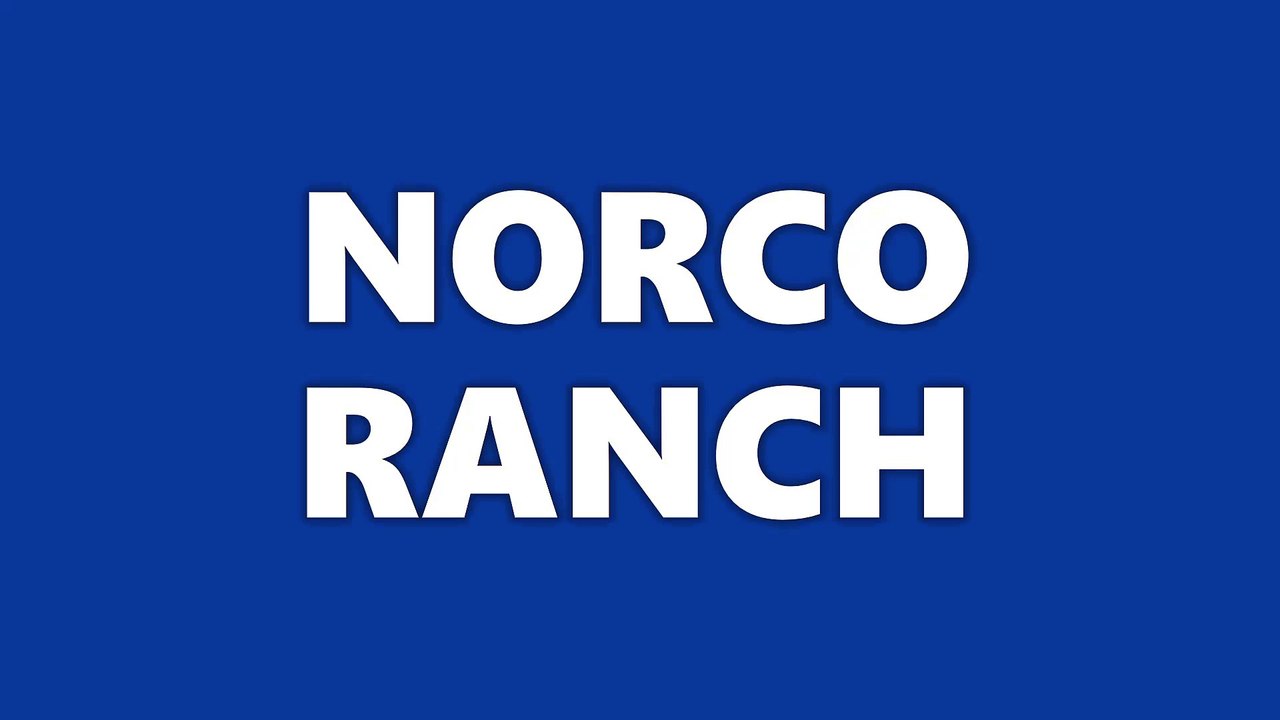Norco Ranch: EGGS, EGGS, EGGS! WE LOVE EGGS!
