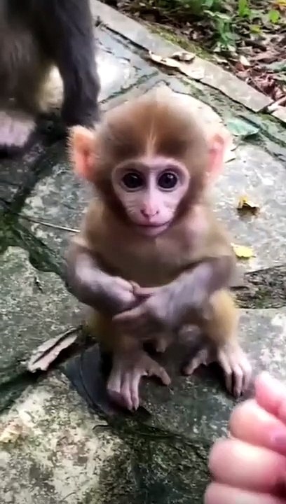 So Cute