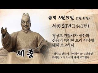 [오늘의 조선왕조실록] 음력 6월 15일(7월 11일)