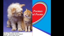 Our friendship is like dog and cat, but we always understand each other! [Quotes and Poems]