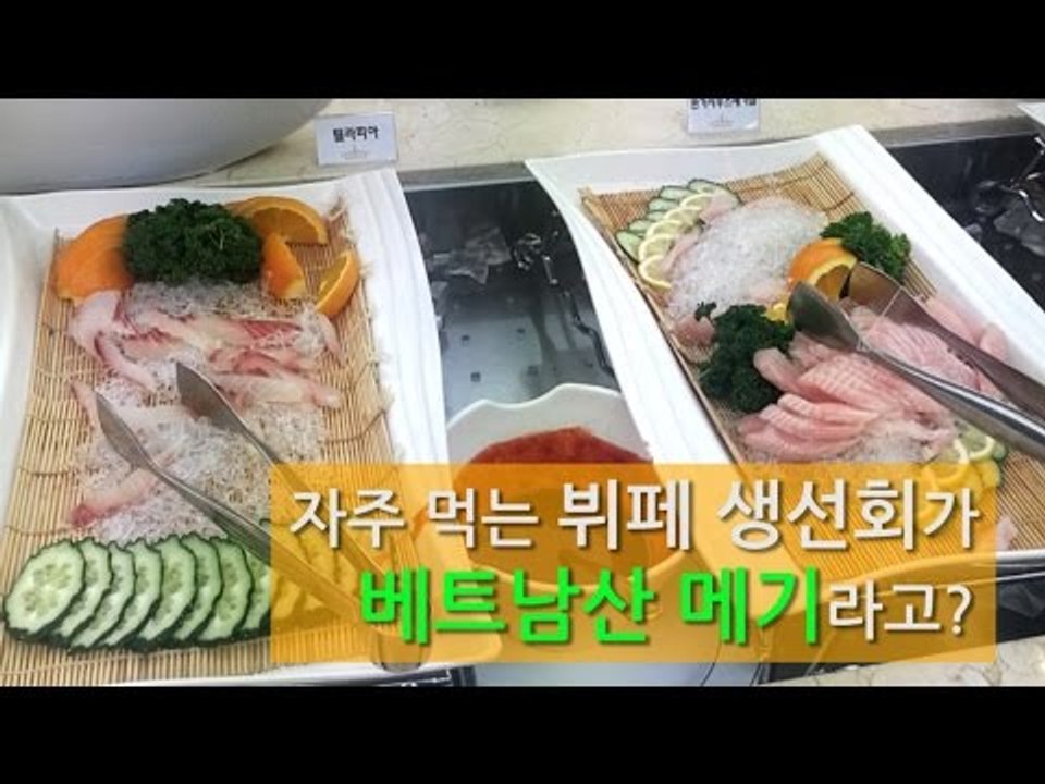 [NocutView] 자주 먹는 뷔페 생선회가 베트남산 메기라고?