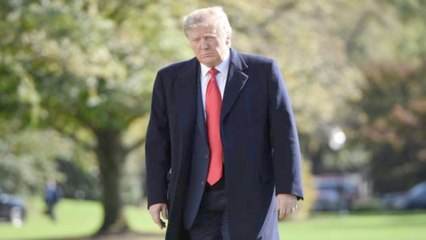 Trump ordered to turn over 8 years of tax returns, appeals court rules