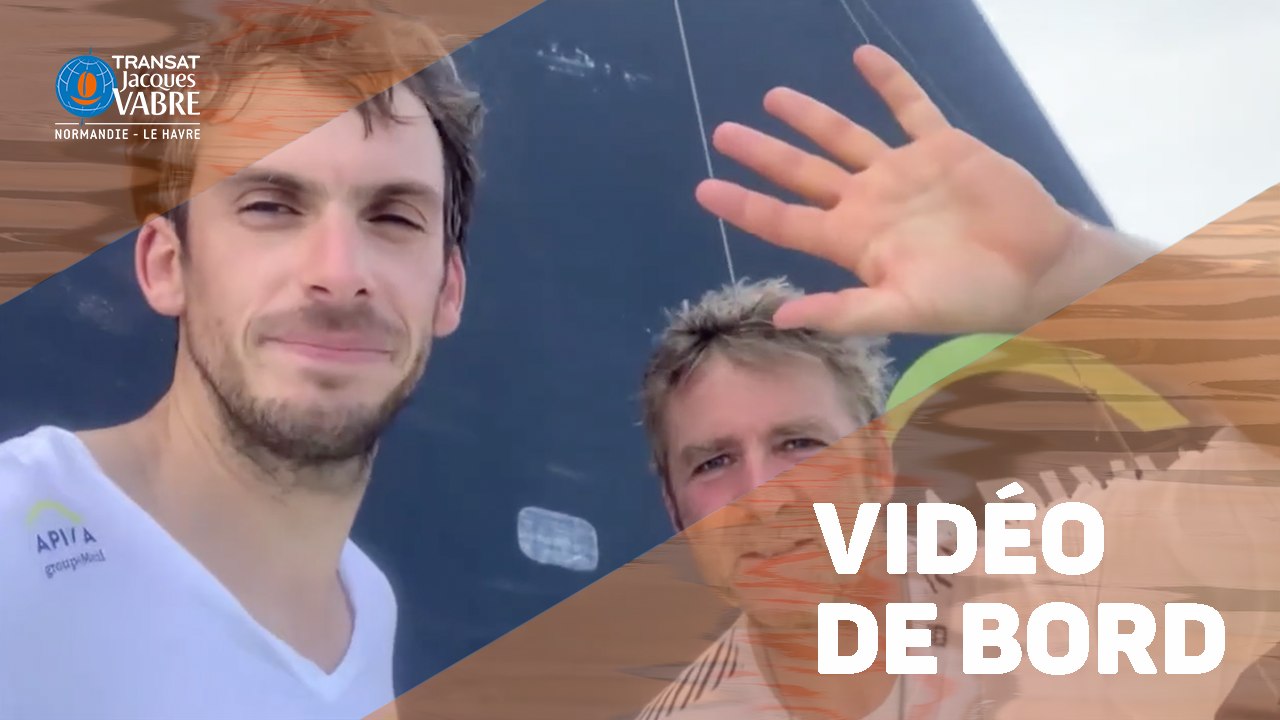 TRANSAT JACQUES VABRE INSIDE - Apivia - 04/11/2019