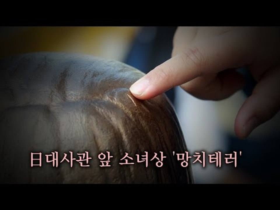 日대사관 앞 소녀상 '망치테러'…정신분열 30대女 체포
